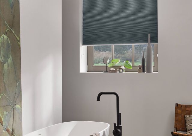 Luxaflex Duette Shades