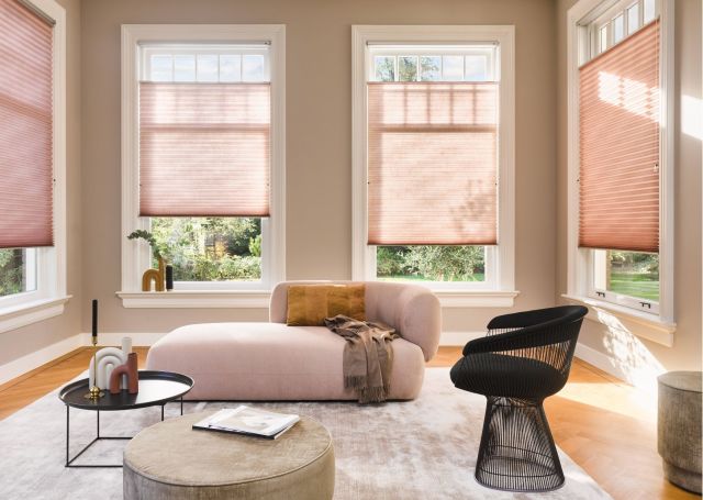 Luxaflex Duette Shades