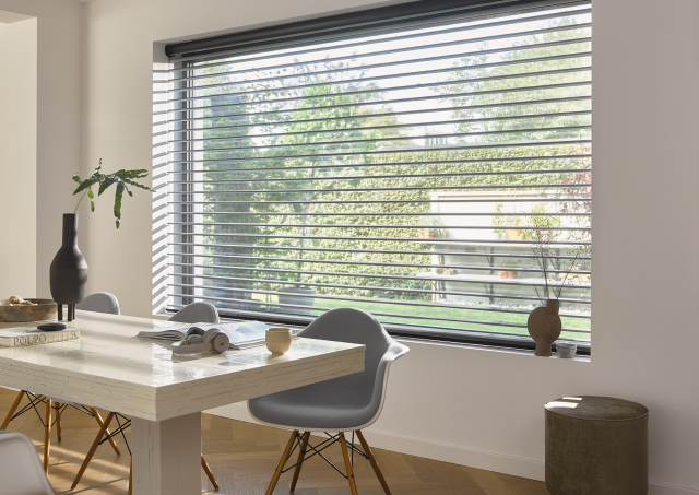 Luxaflex Silhouette Shades