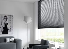 Sunway Plisse Shades