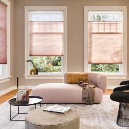 Luxaflex Duette® Shades